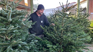 Tobias Barthel aus Grünsfeld (Main-Tauber-Kreis) hatte schon Anfang November die erste Anfrage nach Christbäume.