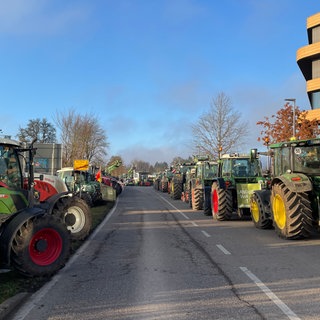 Traktoren  vor der Lidl-Zentrale in Bad Wimpfen. Wegen einer Demo kommt es zu Verkehrsbehinderungen.