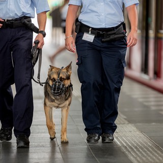 Ein 19-Jähriger, der zuvor in einer S-Bahn ein Messer gezogen hatte, wurde am Bahnhof Schwaigern (Kreis Heilbronn) von einem Diensthund der Polizei gestoppt. (Symbolbild)