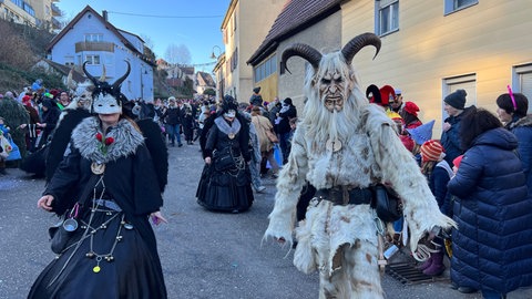 Die Polizei hat Tipps für Fasching. Auch beim Kostüm gibt es Regeln am Steuer. (Arichvbild)