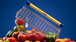 Der Discounter Lidl aus Bad Wimpfen hat zusammen mit einem Designer eine Handtasche auf den Markt gebracht. 