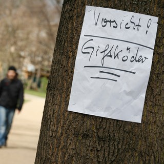 (Symbolbild) Ein Schild mit der Aufschrift "Vorsicht Giftköder" hängt im Vordergrund an einem Baum. Im Hintergrund ist unscharf eine Person mit einem Hund an der Leine zu sehen. - Vergangene Woche sind in einem Waldstück zwischen Obersulm-Eschenau (Kreis Heilbronn) und Bretzfeld-Waldbach (Hohenlohekreis) zwei Hunde vermutlich an Giftködern gestorben. (Symbolbild)