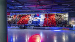 Logo der Heilbronner Falken: Die Heilbronner Falken spielen weiter trotz Insolvenz. Eine neue GmBH ist die Lösung. 