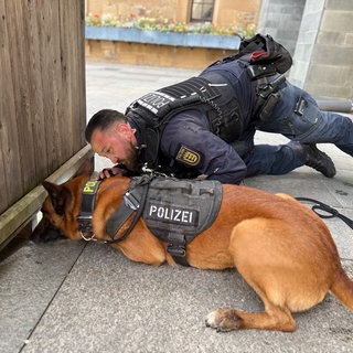 Ein Drogenspürhund bei seiner Arbeit in der Heilbronner Innenstadt. Bei einer Großkontrolle wurden zahlreiche Menschen untersucht. 