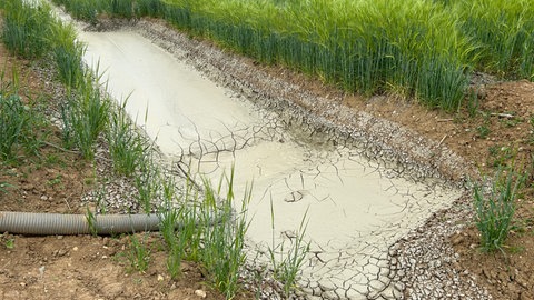 Ausgetretener Bohrschlamm bei Möckmühl (Kreis Heilbronn). Laut BUND soll er von Spülbohrungen der SuedLink-Baustelle stammen.