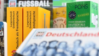 Diverse Wörter- und Lernbücher (Symbolbild)