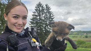 Eine Polizeibeamtin hält nahe Kressberg einen Baby-Fuchs in ihren Händen.