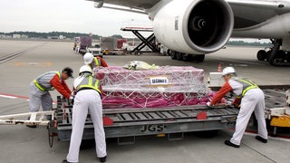 Überführung eines Toten via Flugzeug (Symbolbild)