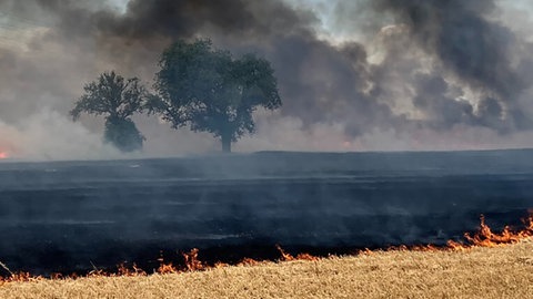 Feuer in Heilbronn: Wieder kam es zu zahlreichen Feldbränden 