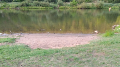 An dieser Stelle im Main bei Wertheim haben zwei 16-Jährige Jugendliche aus dem Fluss gerettet.