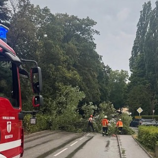 Das Gewitter am Donnerstag hat vor allem Feuerwehren im Hohenlohekreis beschäftigt. Die Feuerwehr Neuenstein musste auch ausrücken.