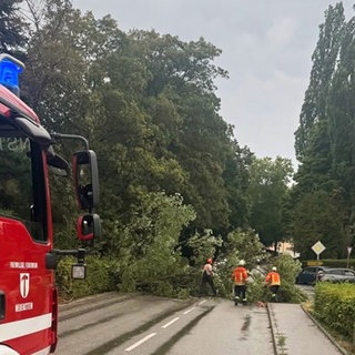 Das Gewitter am Donnerstag hat vor allem Feuerwehren im Hohenlohekreis beschäftigt. Die Feuerwehr Neuenstein musste auch ausrücken.
