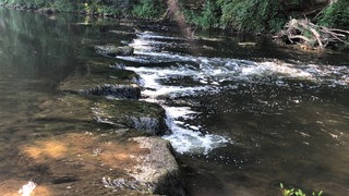 (Archivbild) Jahr für Jahr wird das Wasser in den Sommermonaten in der Jagst bei Kirchberg (Kreis Schwäbisch Hall) wärmer - und der Pegel sinkt.