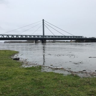 Hochwasser am Rhein bei Karlsruhe