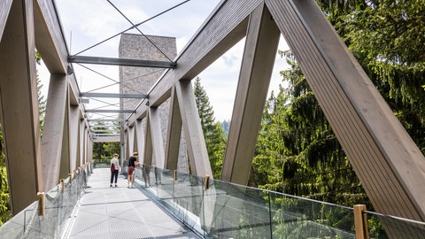 Attraktion im Nationalparkzentrum im Nationalpark Schwarzwald: der Skywalk in die Baumwipfel