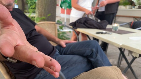 Eine totgeschlagene Mücke auf einer Hand. Die Schnaken verderben Gastronomen in Karlsruhe die Saison.
