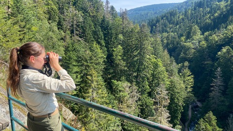 Als Rangerin ist Nadine Berger im Nationalpark Schwarzwald unterwegs und klärt Besucherinnen und Besucher über die Natur und ihre Regeln auf. Sie sieht sich als "Polizei des Waldes".