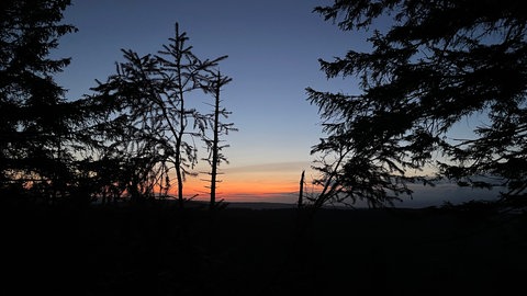 Sonnenaufgang im Nationalpark Schwarzwald.
