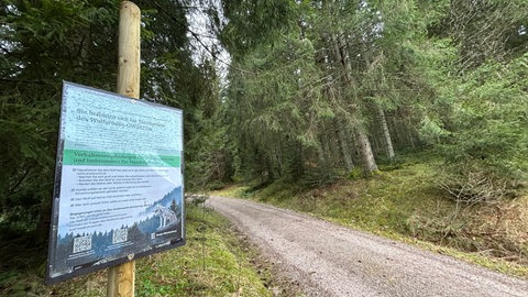 Schilder an einem Weg im Schwarzwald mit Handlungsanweisungen, wie man sich im Falle einer Begegnung mit einem Wolf verhalten soll.