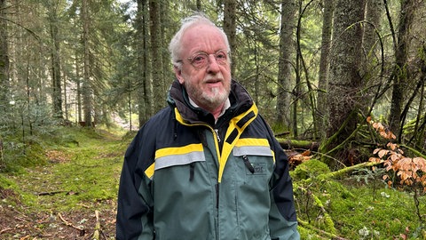 Wildtierbeauftragter des Landkreises Rastatt, Martin Hauser, in einem Waldstück im Schwarzwald.