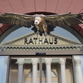 Collage Rathaus Karlsruhe und fliegender Geier