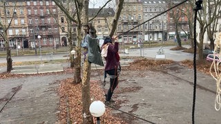 Umweltaktivisten besetzen die Platanen vor dem Badischen Staatstheater in Karlsruhe.