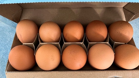 Eierkarton mit Eiern gefüllt | Droht eine Eier-Knappheit rund um Oster?
