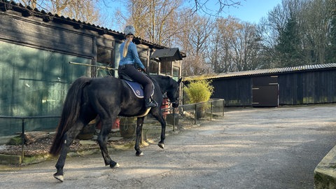 Die neue Tierpark-Leitung Tamara Willig reitet durch den Tierpark Bretten.