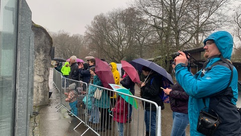 Eisbär-Baby in Karlsruhe ist seit Mittwoch für alle Besucher zu sehen.