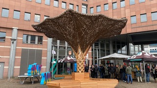 Künstlicher Baum auf dem Kronenplatz in Karlsuhe. Die Erfindung des KIT soll im Sommer Schatten spenden