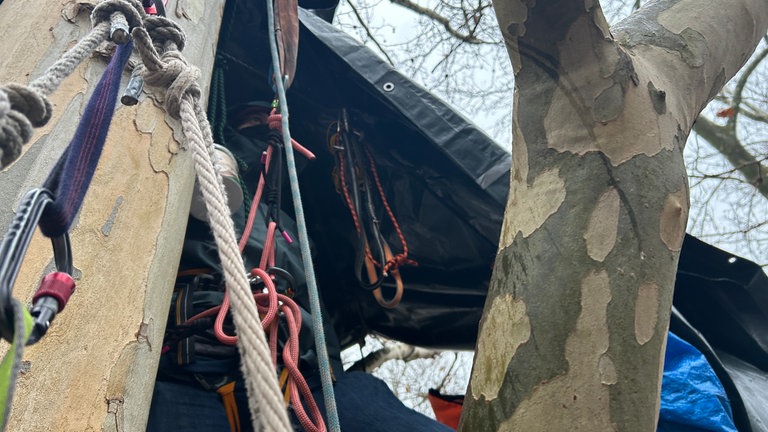 Die Baumbesetzer vor dem Badischen Staatstheater in Karlsruhe haben ein Lager in den Platanen errichtet.