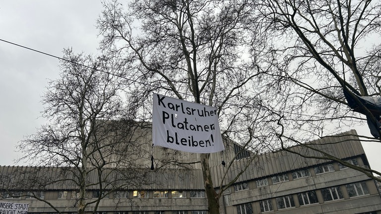 Auf einem Seil zwischen den Platanen vor dem Badischen Staatstheater Karlsruhe hängt ein Schild mit der Aufschrift "Karlsruher Platanen bleiben!" 