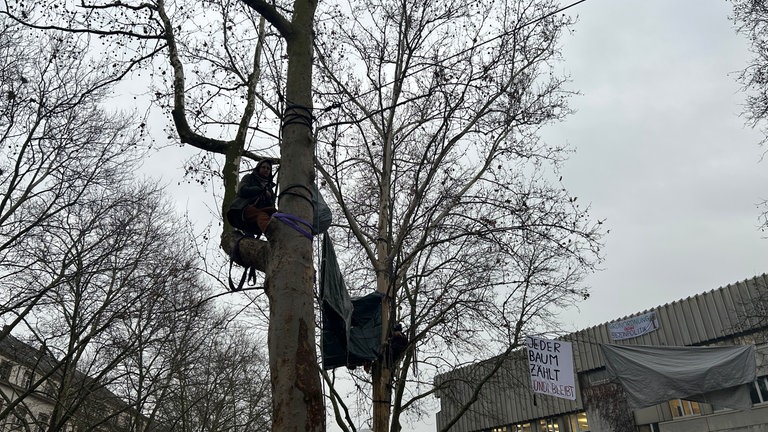 Die Baumbesetzer haben sich ein Lager in den Platanen vor dem Badischen Staatstheater in Karlsruhe gebaut. 