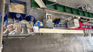 Fließbandarbeit: Hier wird der Spargel sortiert, gewogen und in Päckchen gepackt.