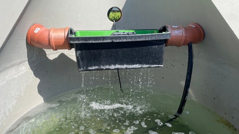 Regenspeicher Family zeigt Behälter, der Regenwasser sammelt 