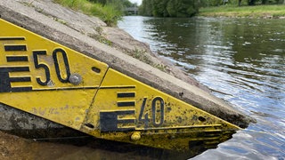 Die Wasserstände in Flüssen und Bächen im Landkreis Calw sind "auf kritische Werte gesunken". Dazu sei nur wenig Regen vorausgesagt: Eine mögliche Gefahr für Fische und Kleinlebewesen.