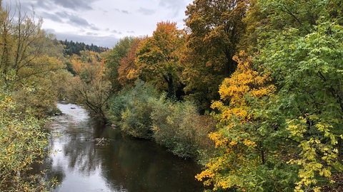 Eines der Ziele einer Landesgartenschau in Pforzheim: die Aufwertung der Flussufer. Hier die Nagold beim Stadtgarten.