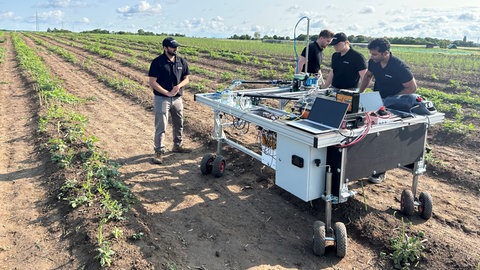 Bei der Spargelernte wird auf einem Feld ein Roboter getestet.