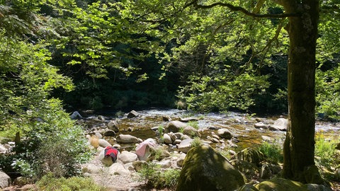 Die Murg fließt durch den Wald bei Forbach, viele große Steine liegen am Ufer. Wer in Baden-Württemberg bei Hitze im Sommer nach Abkühlung sucht, wird hier fündig: Baggerseen, Flüsse und Freibäder zum Baden und Schwimmen. SWR1 Baden-Württemberg hat für euch die schönsten Badeseen, Strandbäder, Fluss-Badestellen und Baggerseen zusammengestellt - von Karlsruhe, Rhein-Neckar-Kreis, Heidelberg, Mannheim und Heilbronn, Neckar-Odenwald, Hohenlohe bis in den Main-Tauber Kreis - vom Bodensee, Freiburg, Schwarzwald bis Reutlingen, Tübingen, Sigmaringen, Zollernalb, Alb-Donau, Ulm und Ostalb. Wir haben sogar Tipps für Badeseen mit Hundestrand!