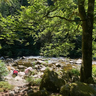 Die Murg fließt durch den Wald bei Forbach, viele große Steine liegen am Ufer. Wer in Baden-Württemberg bei Hitze im Sommer nach Abkühlung sucht, wird hier fündig: Baggerseen, Flüsse und Freibäder zum Baden und Schwimmen. SWR1 Baden-Württemberg hat für euch die schönsten Badeseen, Strandbäder, Fluss-Badestellen und Baggerseen zusammengestellt - von Karlsruhe, Rhein-Neckar-Kreis, Heidelberg, Mannheim und Heilbronn, Neckar-Odenwald, Hohenlohe bis in den Main-Tauber Kreis - vom Bodensee, Freiburg, Schwarzwald bis Reutlingen, Tübingen, Sigmaringen, Zollernalb, Alb-Donau, Ulm und Ostalb. Wir haben sogar Tipps für Badeseen mit Hundestrand!