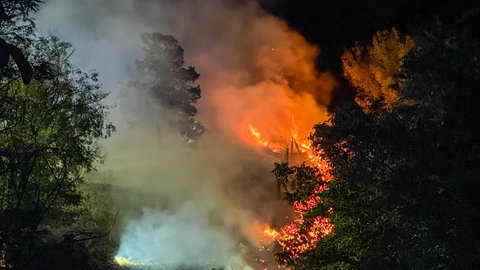 Waldbrand Karlsruhe-Neureut