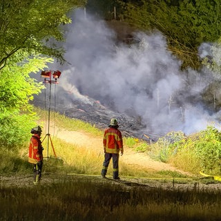 Waldbrand Karlsruhe-Neureut