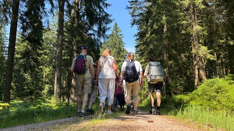 Wandergruppe mit sehbehinderten Teilnehmern im Nationalpark