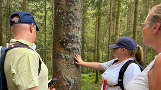 Geführte Wanderung im Nationalpark Schwarzwald - speziell für sehbehinderte Menschen 