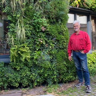 Der vertikaler Garten am Holzhaus von Volker Lück in Karlsruhe-Knielingen: Er hilft gegen die Hitze in der Stadt.