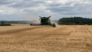 Landwirtschaft im Wandel: Ein Mähdrescher in Bruchsal bei der Ernte. Er besitzt eine integrierte Künstliche Intelligenz (KI).
