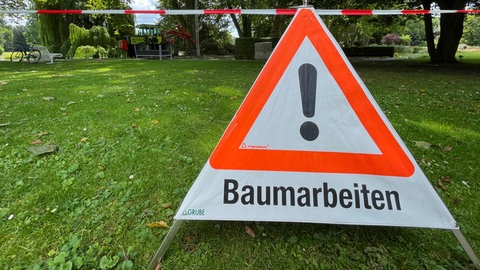 In Karlsruhe und anderen Gemeinden werden regelmäßig die Bäume überprüft, für die Sicherheit und das Klima in der Stadt.