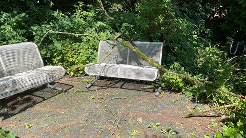 Eine weiße Sitzbank aus Metallgitter. Dahinter und über der Bank stehen Bäume. Auf der Bank liegt ein abgesägter Ast.