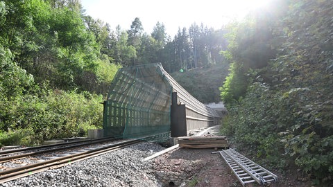 Fledermaustunnel der Hermann-Hesse-Bahn bei Calw