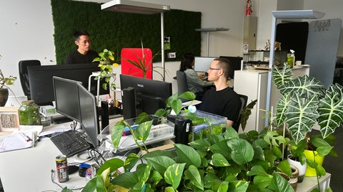 Das Büro von Alpha-Protein in Bruchsal, Start-up